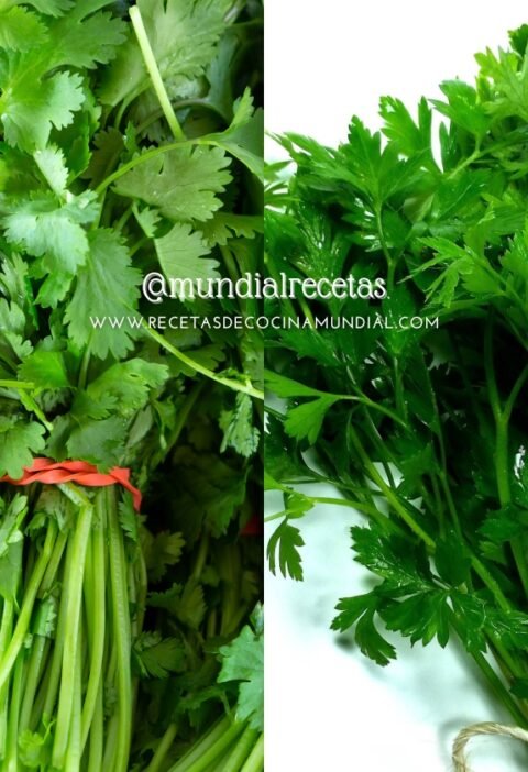 diferencias entre cilantro y perejil. Consejos cocina. mundial recetas