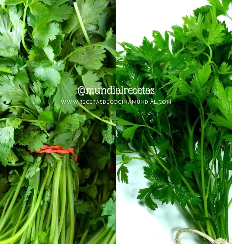 diferencias entre cilantro y perejil. Consejos cocina. mundial recetas