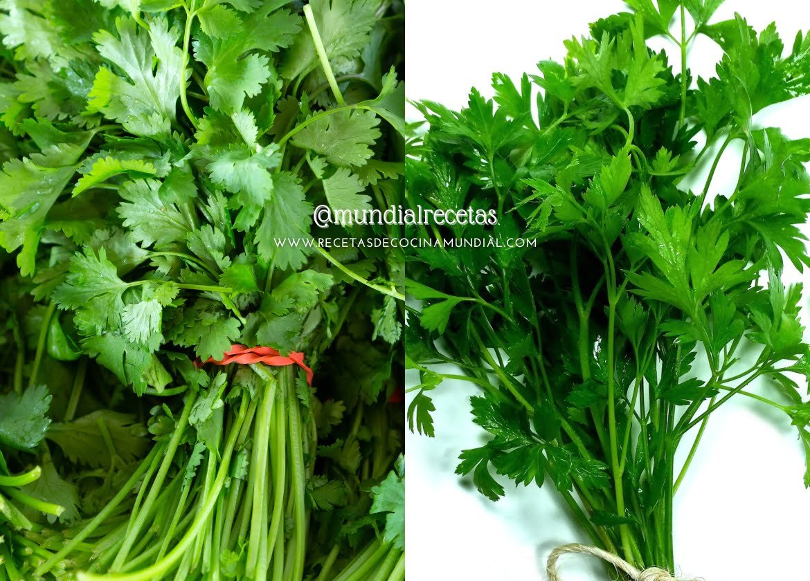 diferencias entre cilantro y perejil. Consejos cocina. mundial recetas