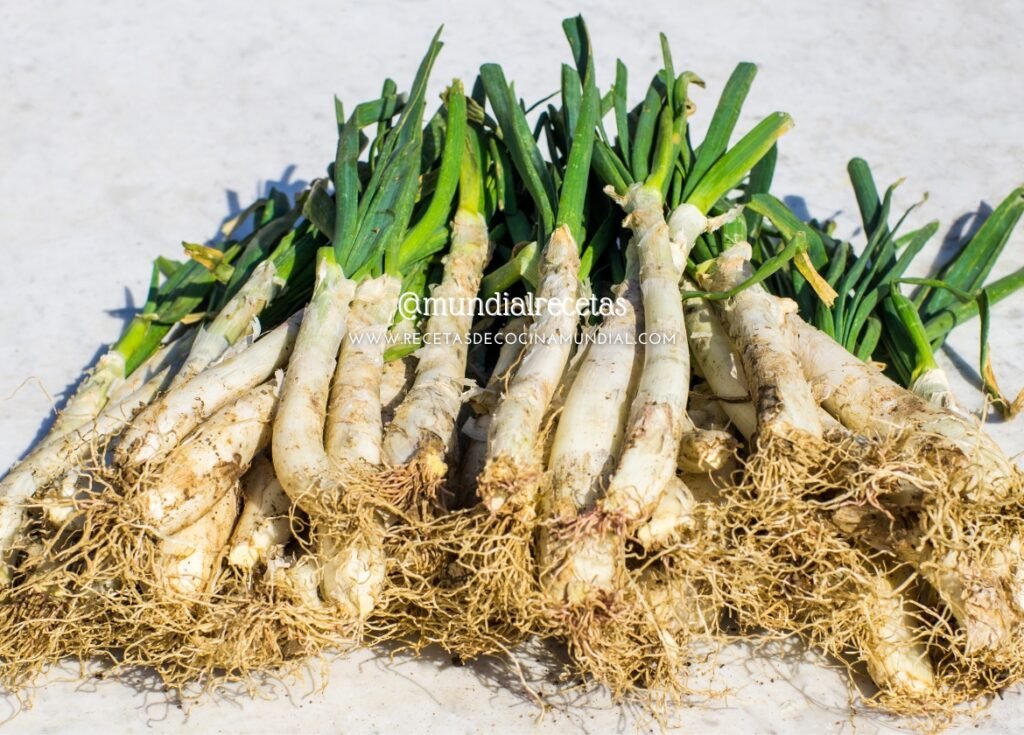Calcots