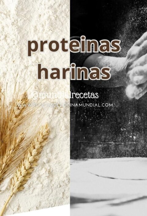 nivel proteína harina