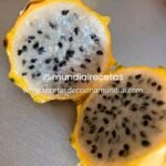 Diferencias entre caldo, sopa, crema y consomé: qué son y cómo distinguirlos