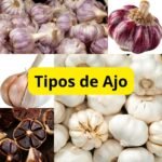 Diferentes variedades de ajo como ajo blanco, ajo morado y ajo negro sobre una superficie de cocina